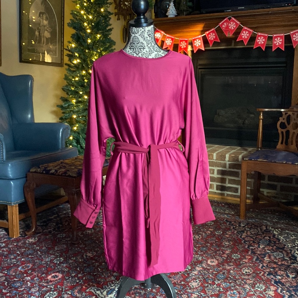 CRISTINA LEI Satin Dolman Cuff Sleeve Dress | Raspberry Dress